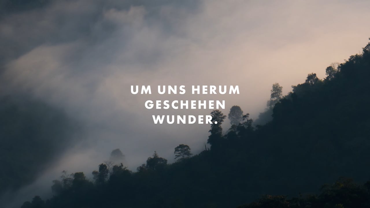 Trailer_WOHLLEBEN_TUA_26