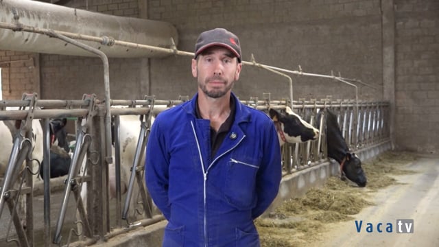 “Recomendaría Lely Vector porque considero que es muy positivo para el rebaño”