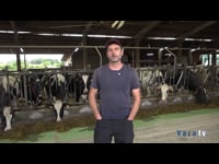 “Hemos observado mejoras en la salud y en la fertilidad de las vacas gracias al Vector”