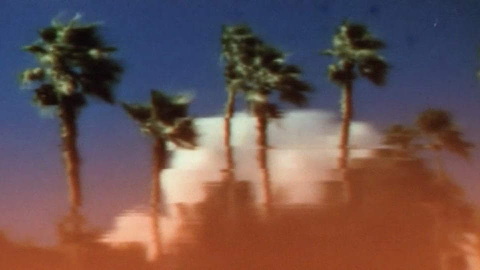 Photo from DRAKE - FROM FLORIDA WITH LOVE