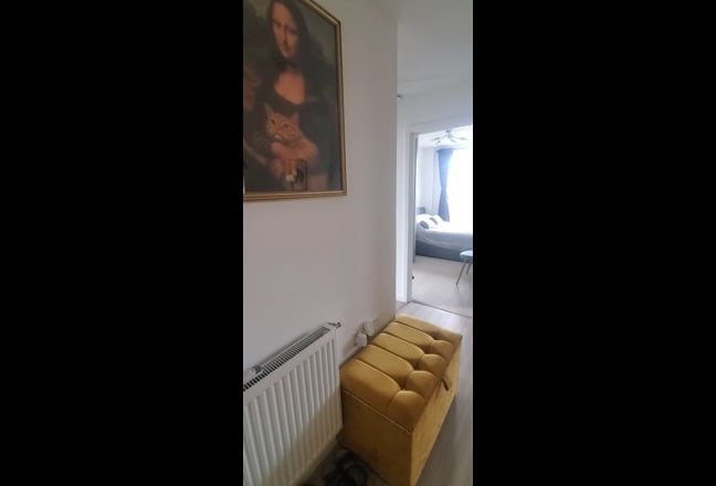 Video 1: