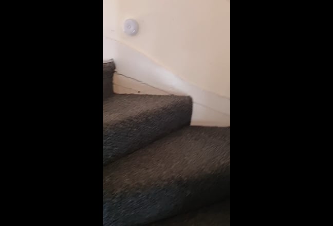 Private double room in Walthamstow  Main Photo