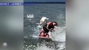 Woman Hit In The Face By A FISH