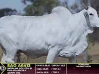 ASP 30