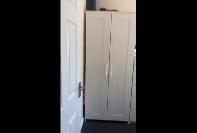 Video 1:
