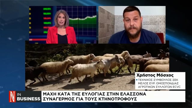 Χρ. Μόσχος: Δηλώνουμε τα διπλάσια αιγοπρόβατα στην Ευρώπη ενώ επιδοτούνται σχεδόν τα τετραπλάσια 29-8-2025