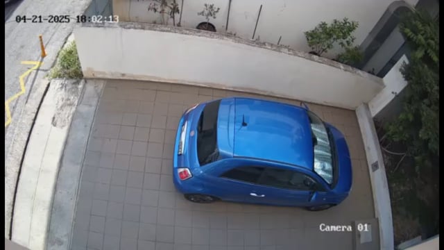 Άγιος Δημήτριος: Στην οδό Σμύρνης περιφέρεται Πίτμπουλ που σκοτώνει γάτες κατ' εντολήν του αφεντικού του Απρίλιος & Μάιος 2025