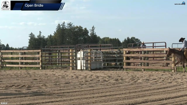 #848 Damien John Mikkelson