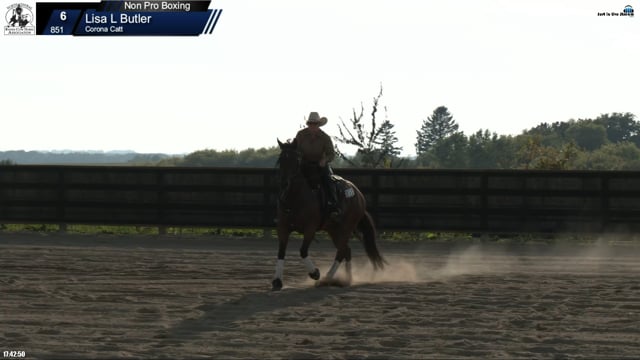 #851 Lisa L Butler