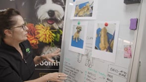 chuckie_lund_hand_stripping_seminar_-_handstripping_salon_dogs