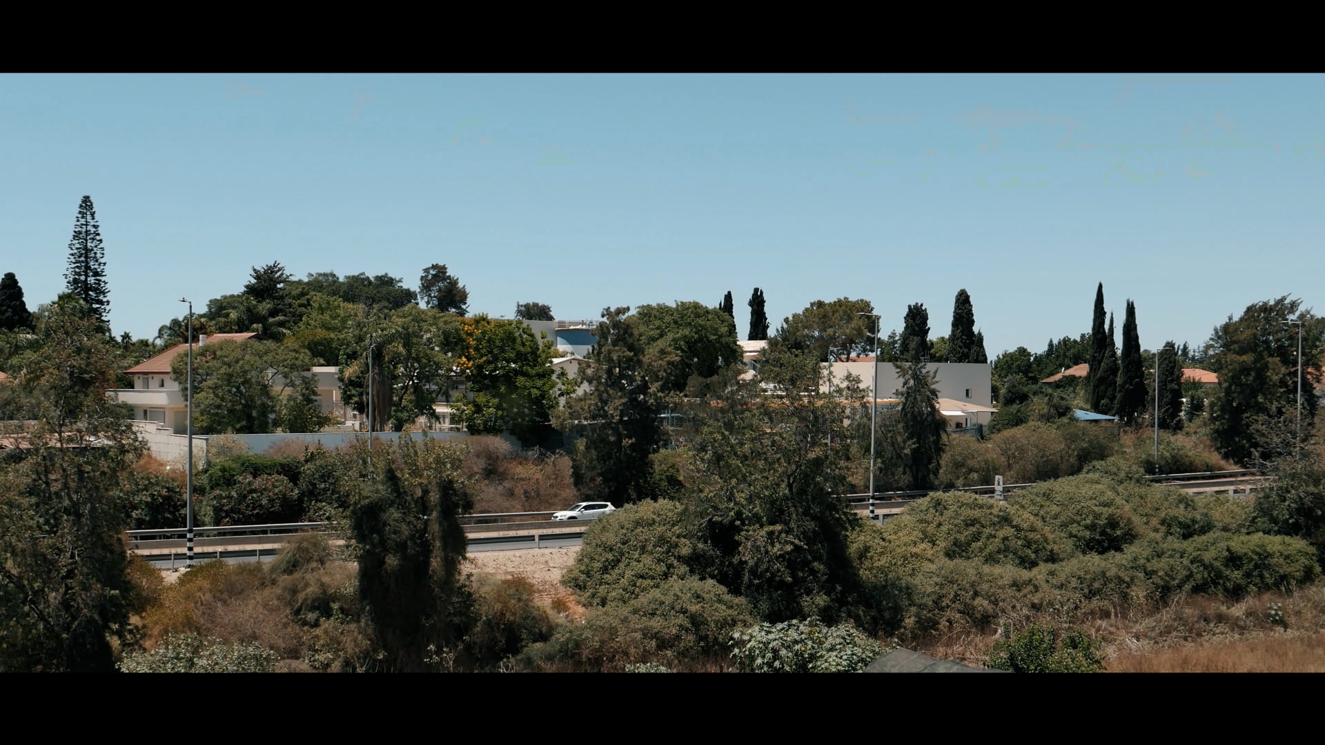 highlight- adi sharon