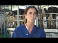 “El 86 % de las vacas se mantienen sanas mes a mes, la incidencia de nuevas infecciones no llega al 5 % y los pospartos son excelentes”