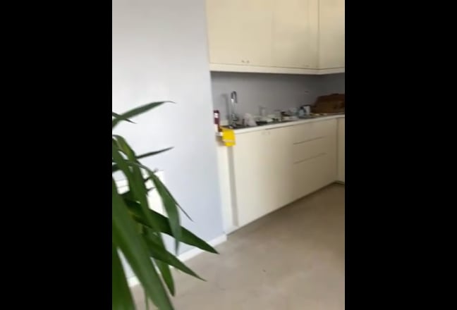 Video 1:
