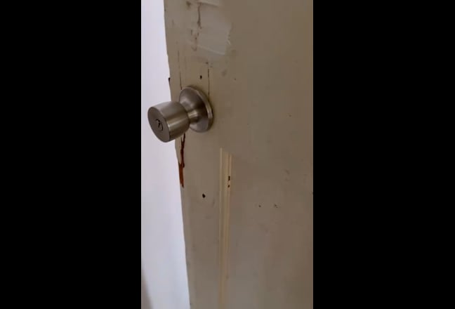 Video 1: