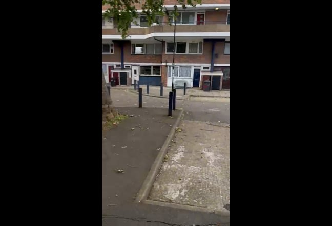 Video 1: