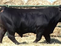 Lote 23