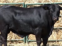Lote 30