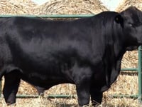 Lote 35