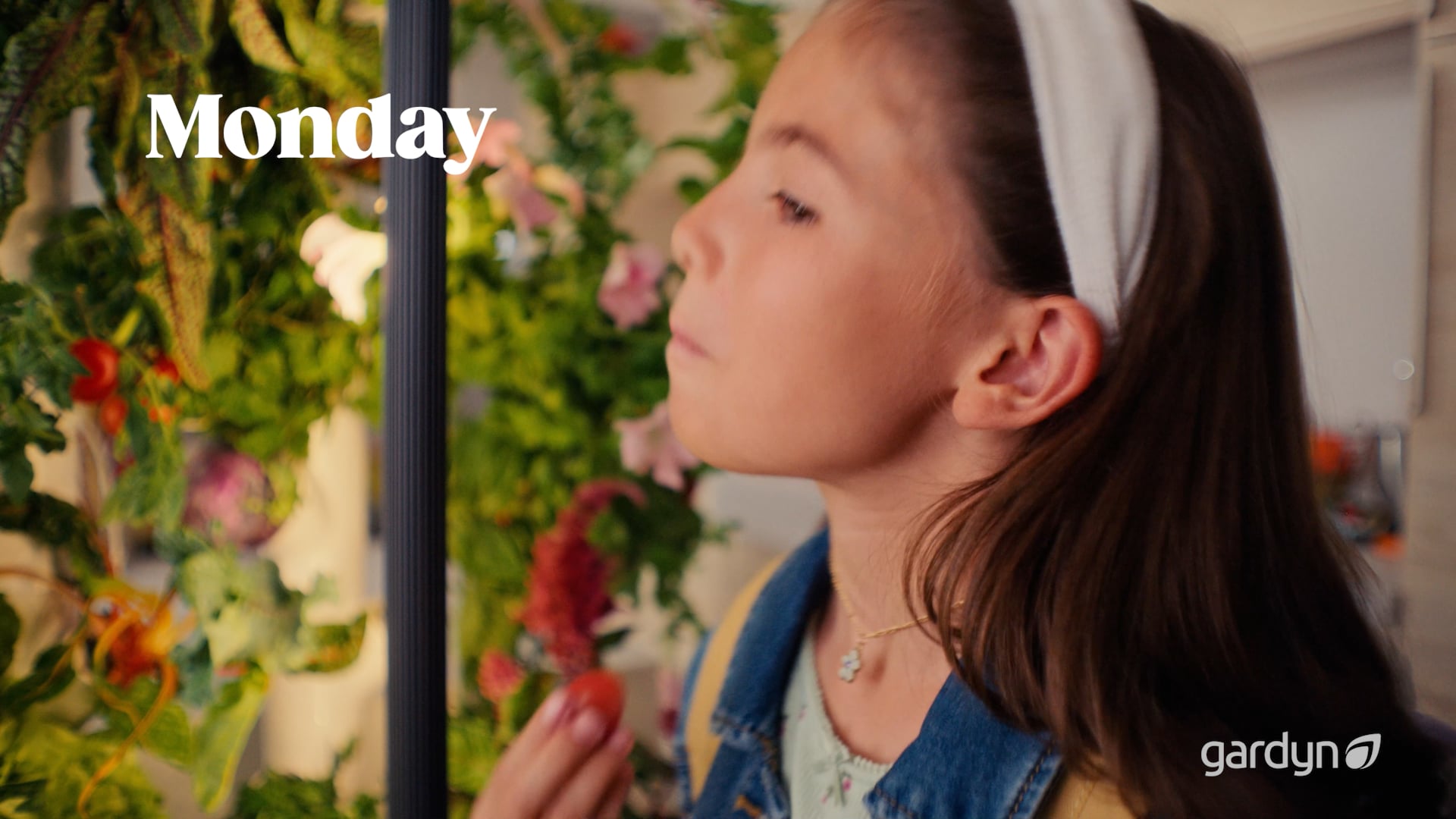 Gardyn "Harvest Happiness"