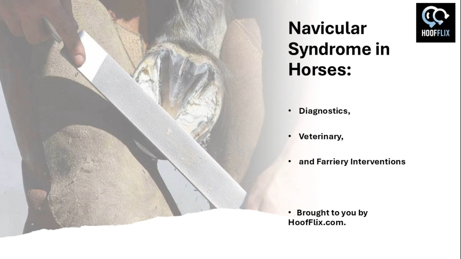 Navicular Syndrome