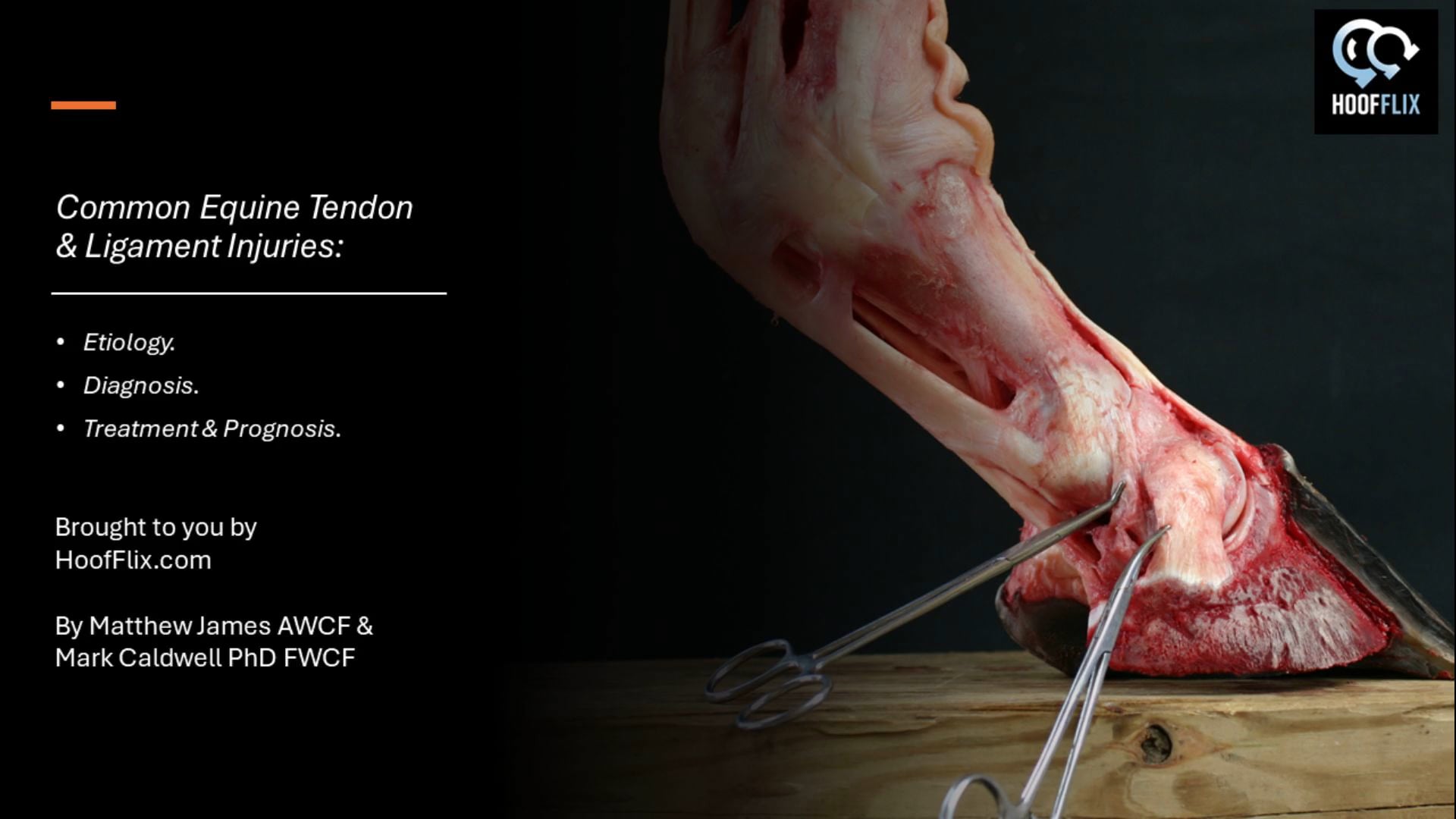 tendon and ligament injuries