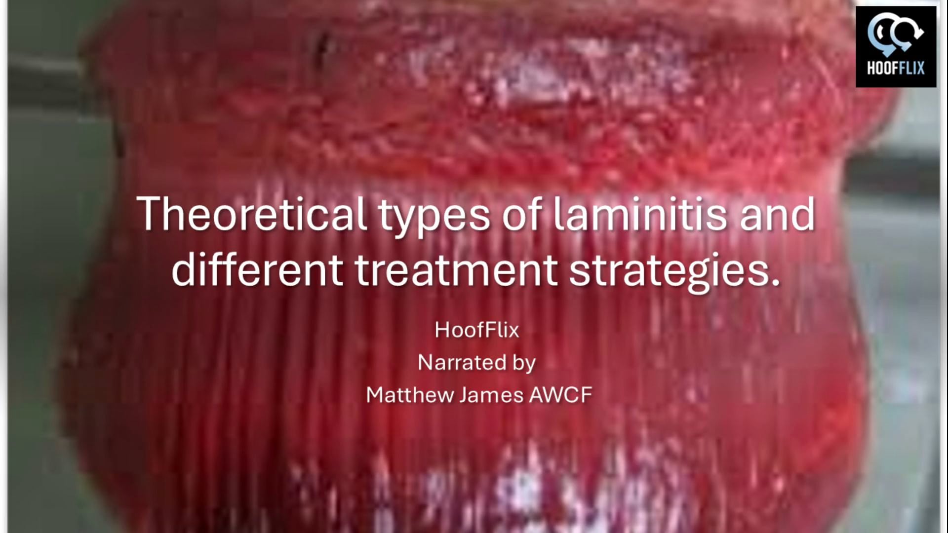 Theoretical types of Laminitis