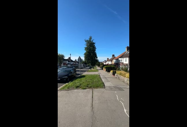 Video 1: 