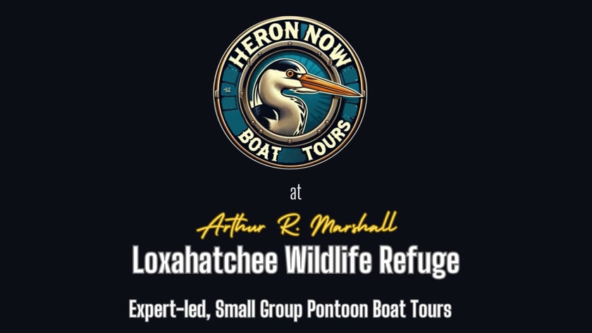 vimeo-video-thumbnail