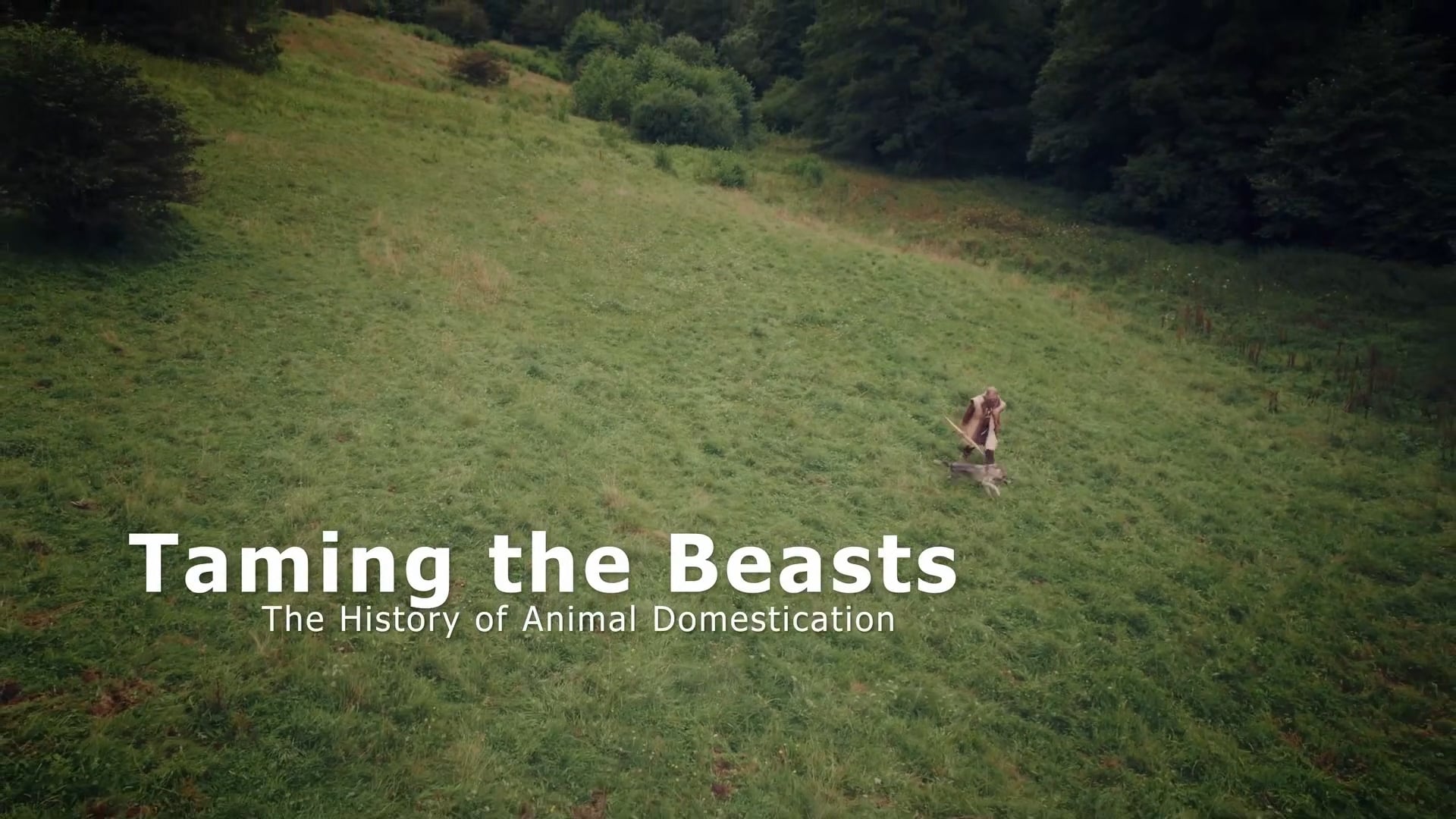 Taming the Beasts – The History of Animal Domestication