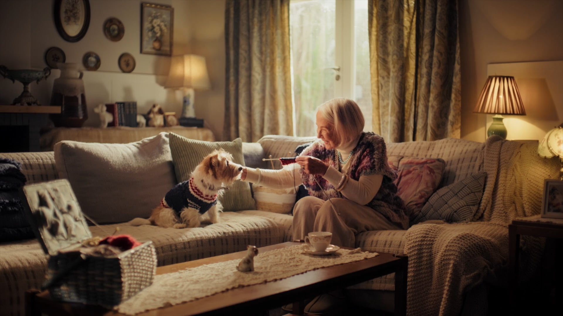 Absolute Pets - Because Family Comes First