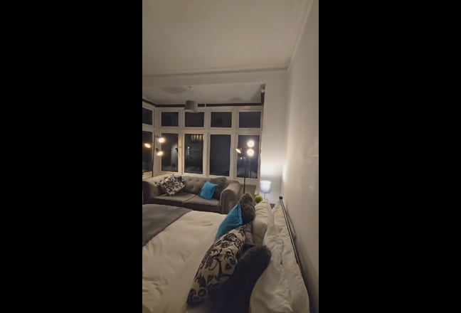 Video 1: