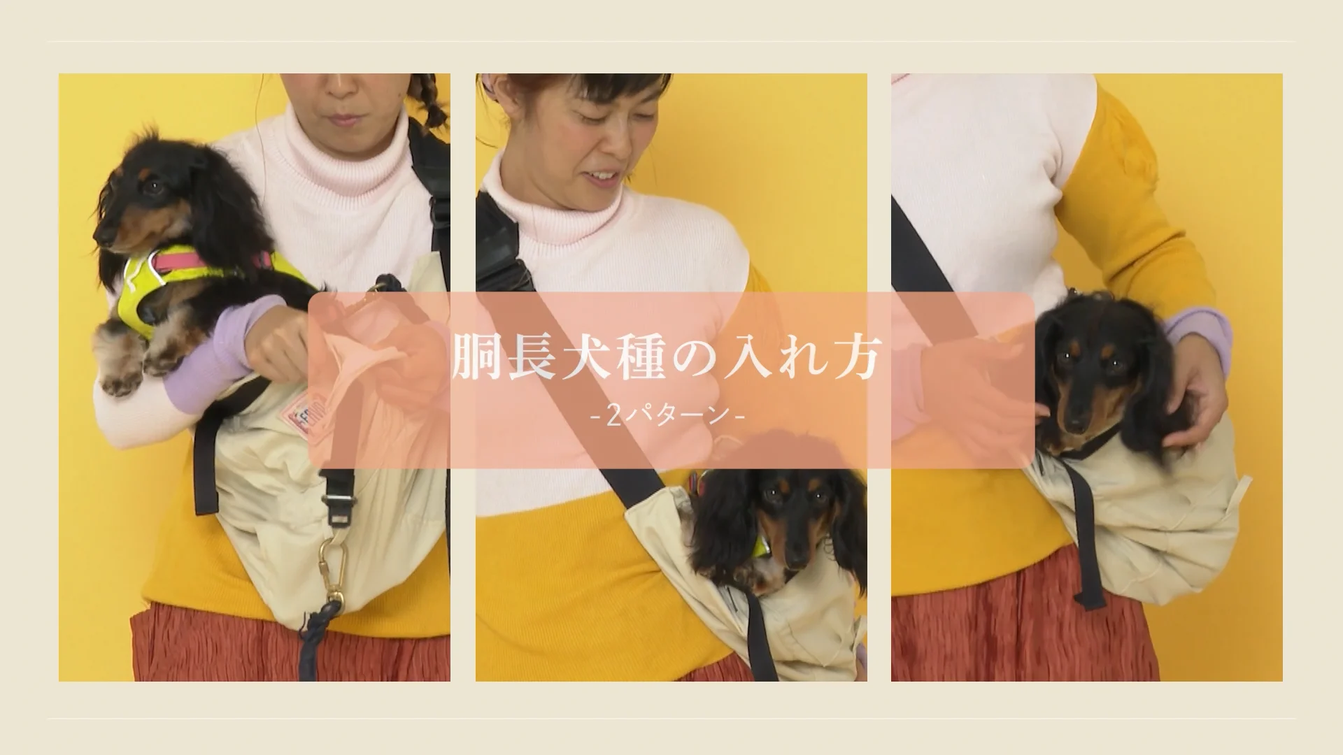 ドッグスリングの使い方動画集 | ドッグスリング・犬の抱っこ紐