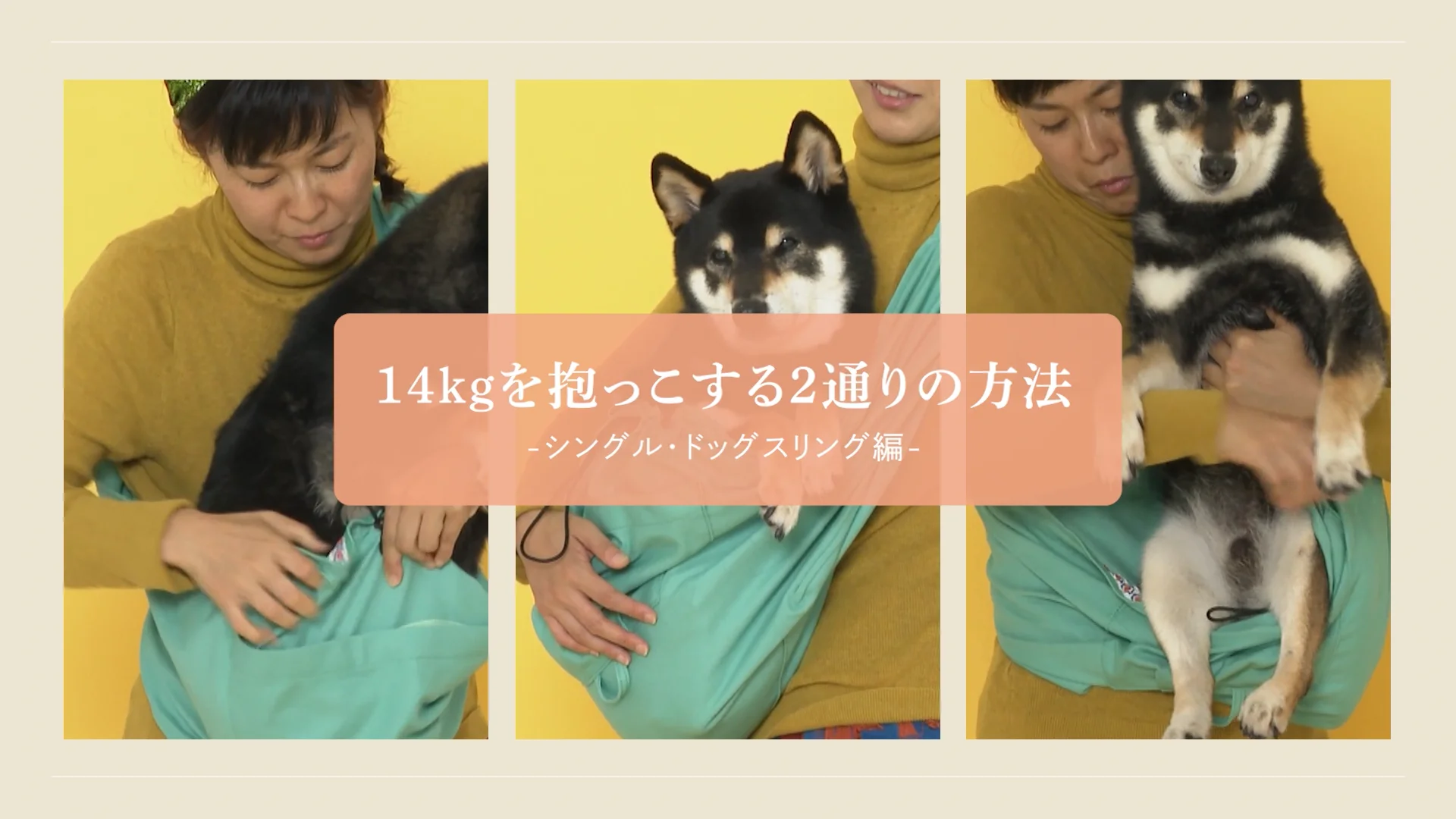 ドッグスリングの使い方動画集 | ドッグスリング・犬の抱っこ紐