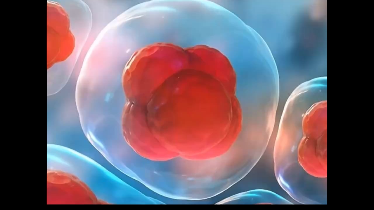 https://i.vimeocdn.com/video/2059908180-113a3466c45ed9074467fa513cea24afec5776160e2471821455af4ba3763b59-d
