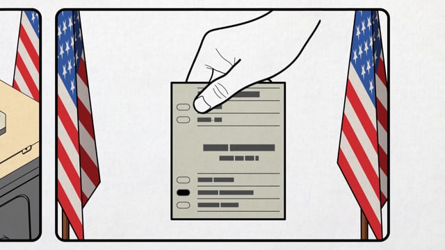 National Voting Rights Task Force - "Risk Limiting Audits"