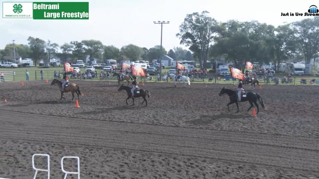 Drill Large - Beltrami (short)