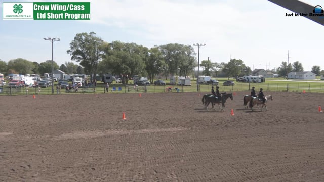 Drill LTD Short - Reining Chaos