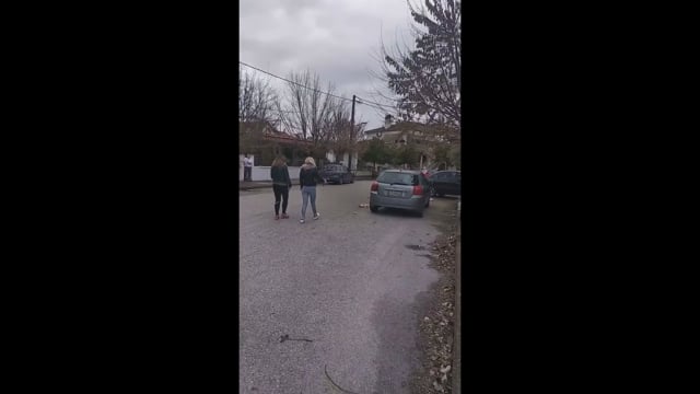 Τρίκαλα Θεσσαλίας Πάνω από 20 γάτες δολοφονημένες με φόλες στην οδό Πλουτάρχου 16-2-2020