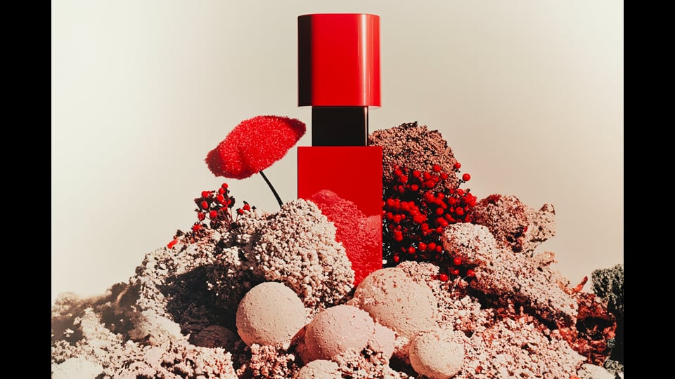 Photo from Contours Of Silence