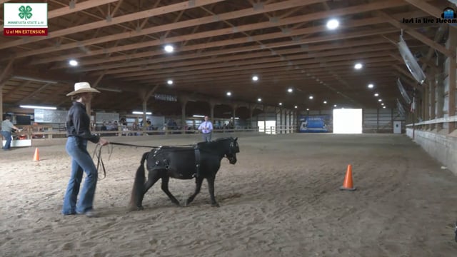 Ground Driving 9+