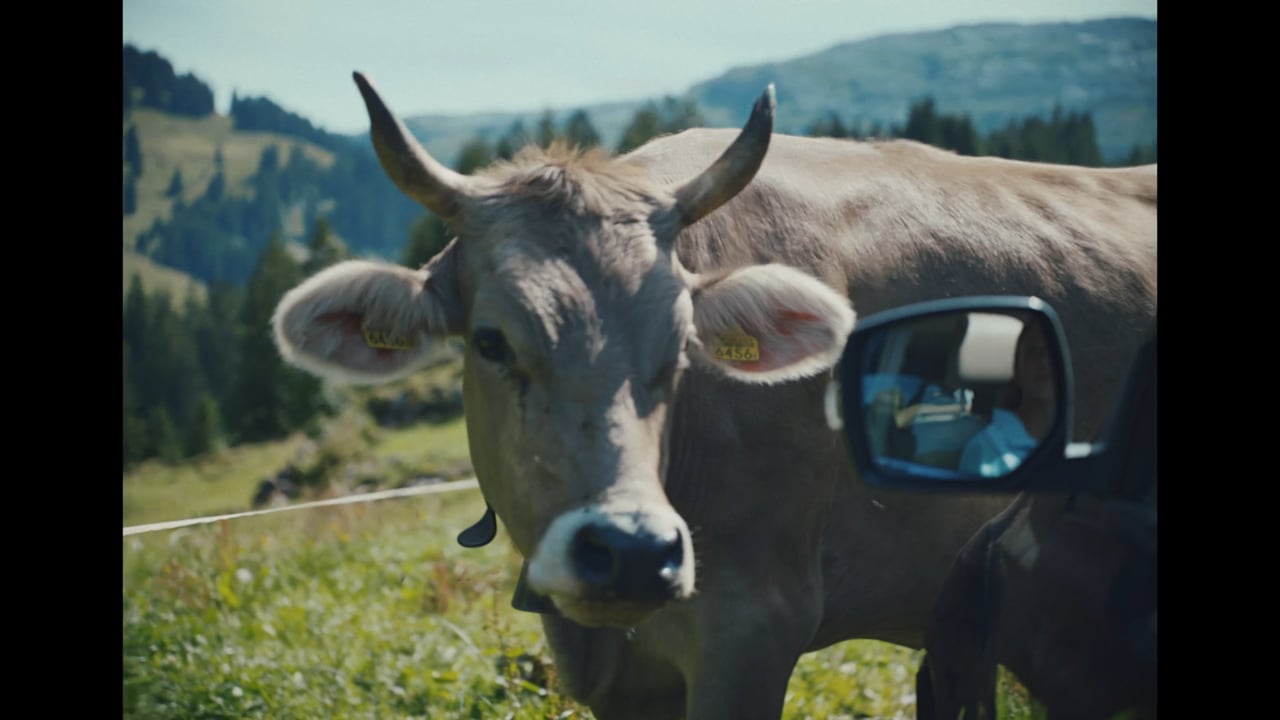 Vorschaubild von Crash Cow