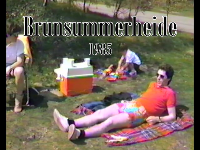 Brunsummerheide 1985