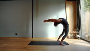 Related Embedded Video Item Thumbnail
