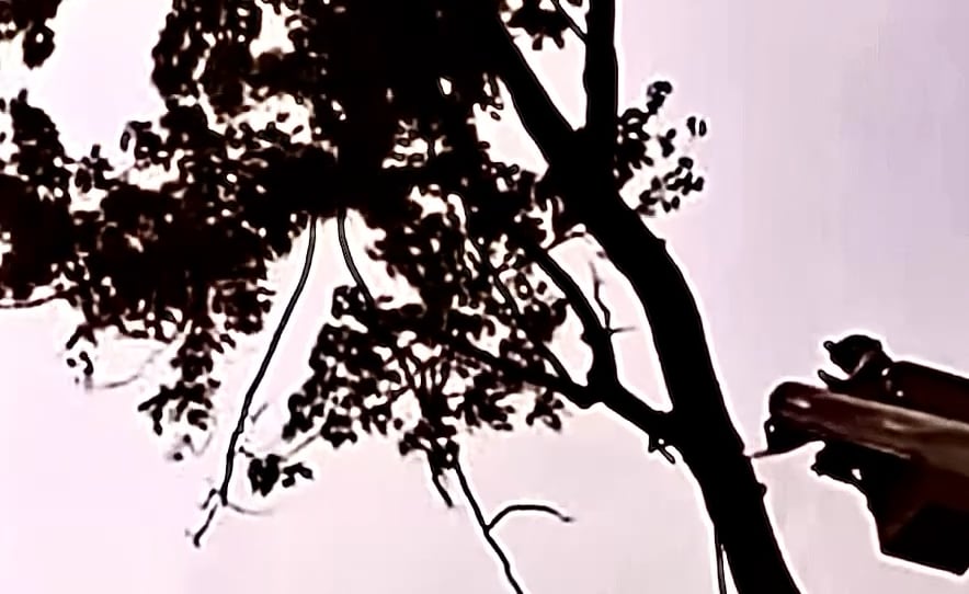 https://i.vimeocdn.com/video/2060006814-4148a6d292f9d1868d7e64e0201fc3c4dfa53489f1780e186231b6e48e7d1396-d