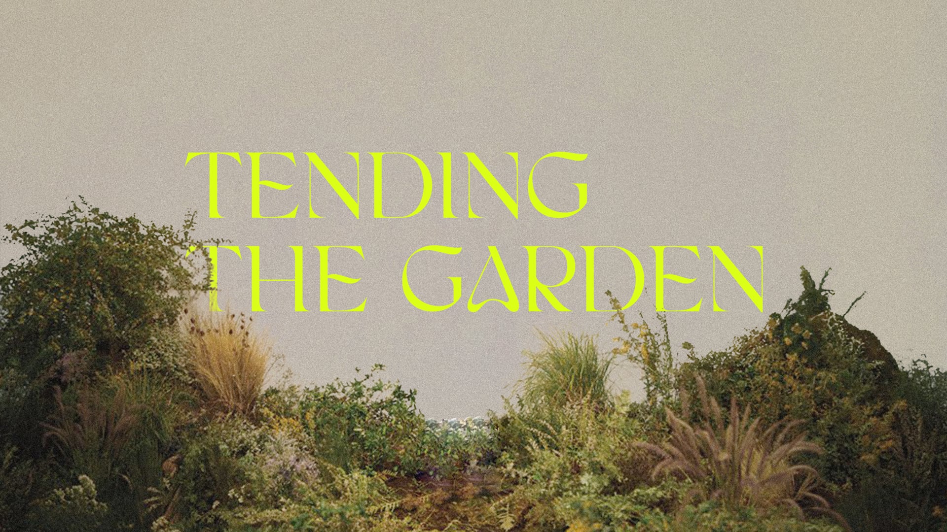 Weeds In My Garden: Tending the Garden