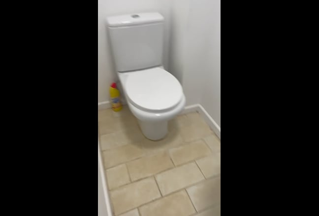 Video 1: