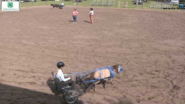 Driving 6-8