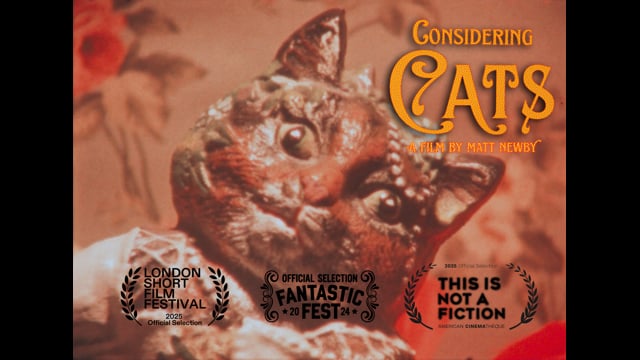 Considering Cats