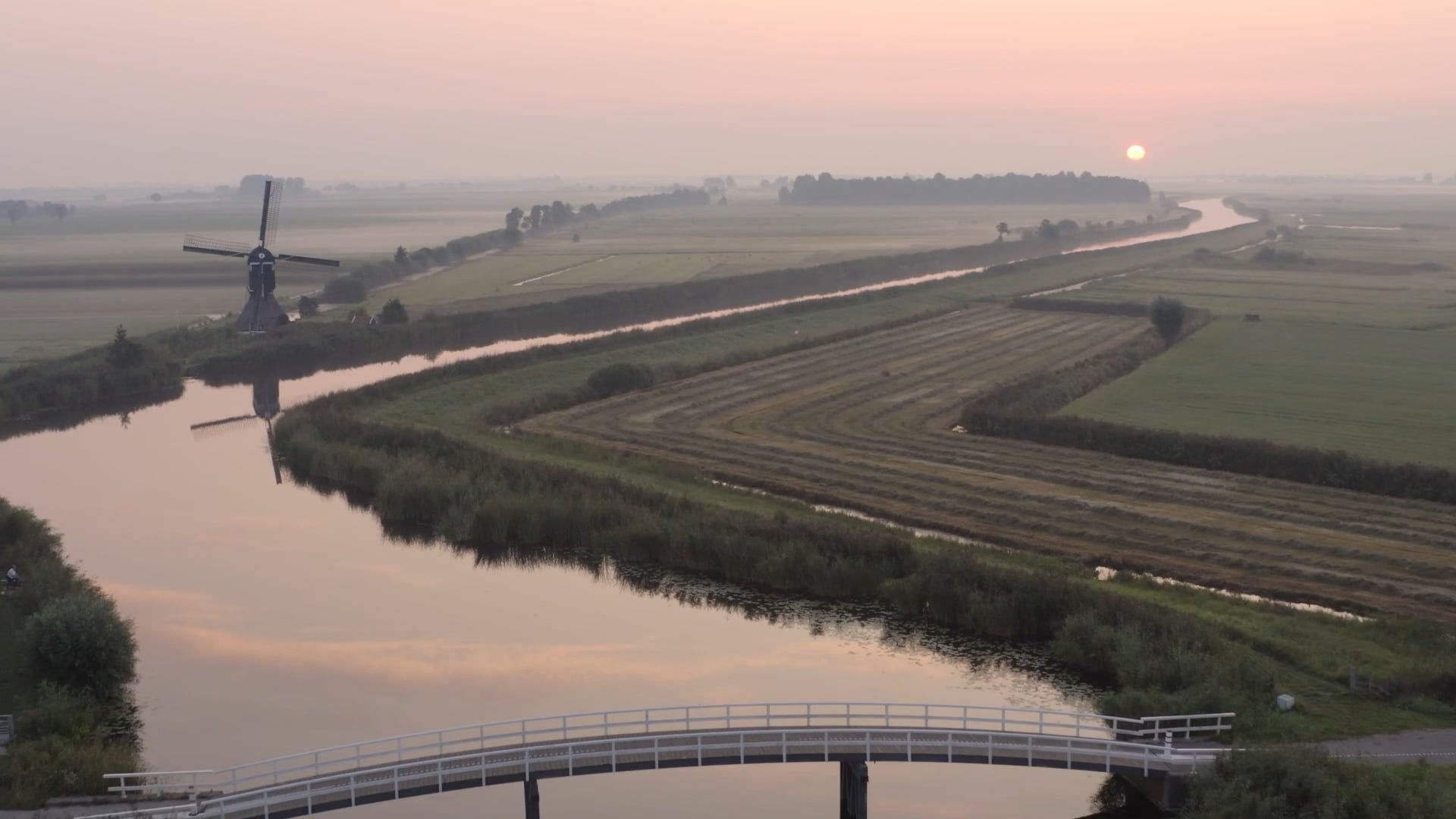 Wildlife in Windmill Country