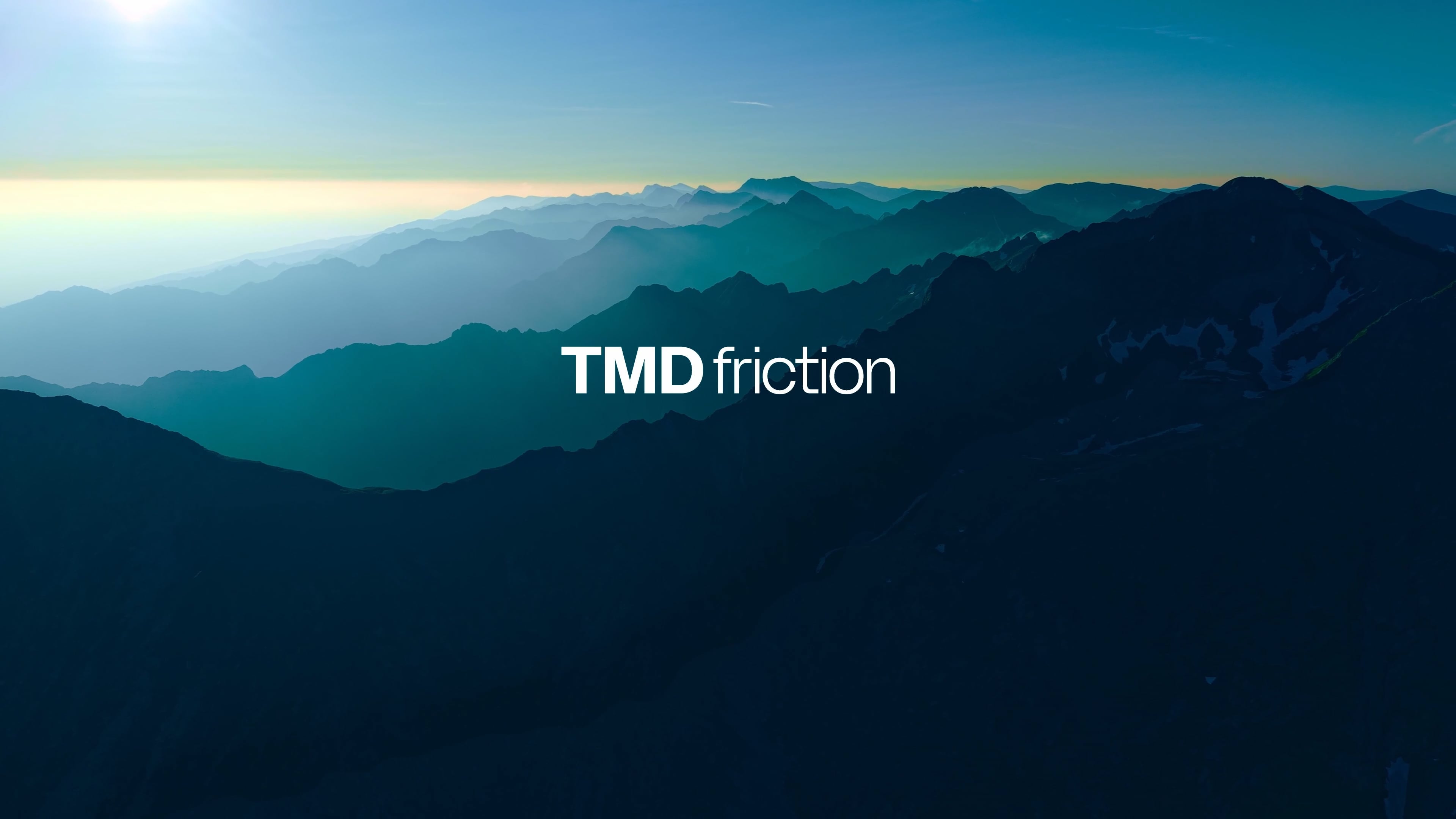 TMD FRICTION 